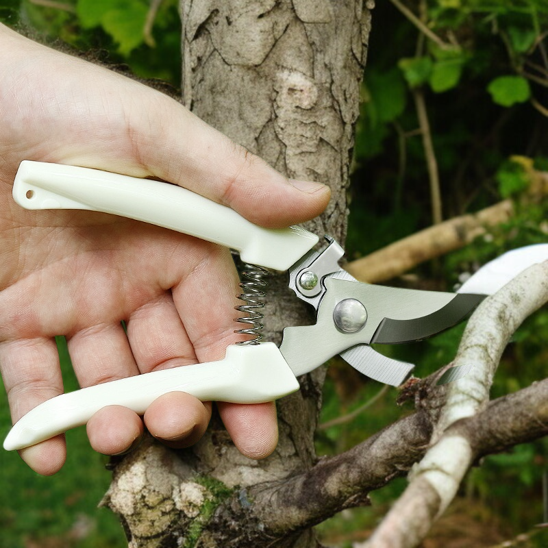 庭木剪定鋏 ガーデニング鋏 ガーデンフルーツ摘み取りハンドツール ガーデンツールフルセット