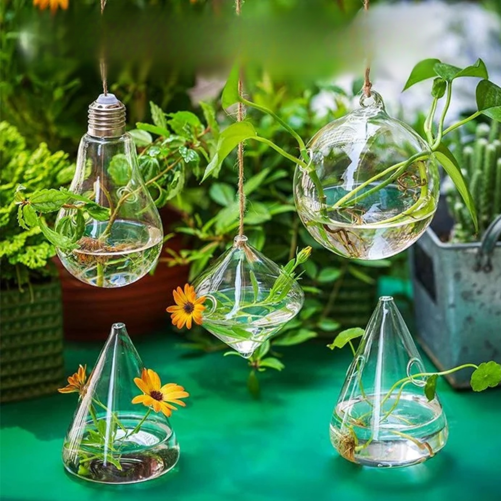 Récipient suspendu pour fleurs hydroponiques