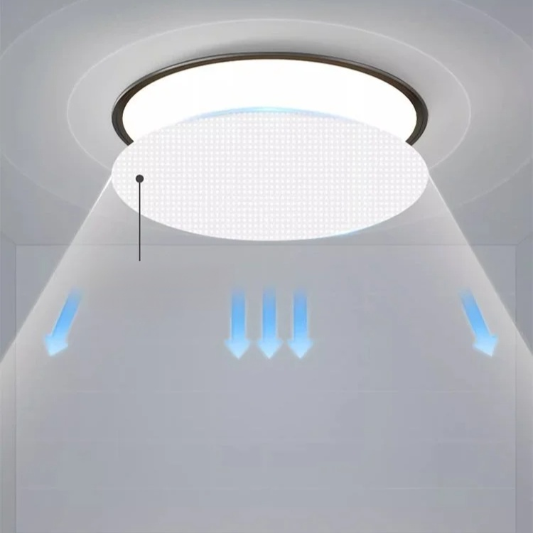Entrance LED Ultra-thin Ceiling Light
