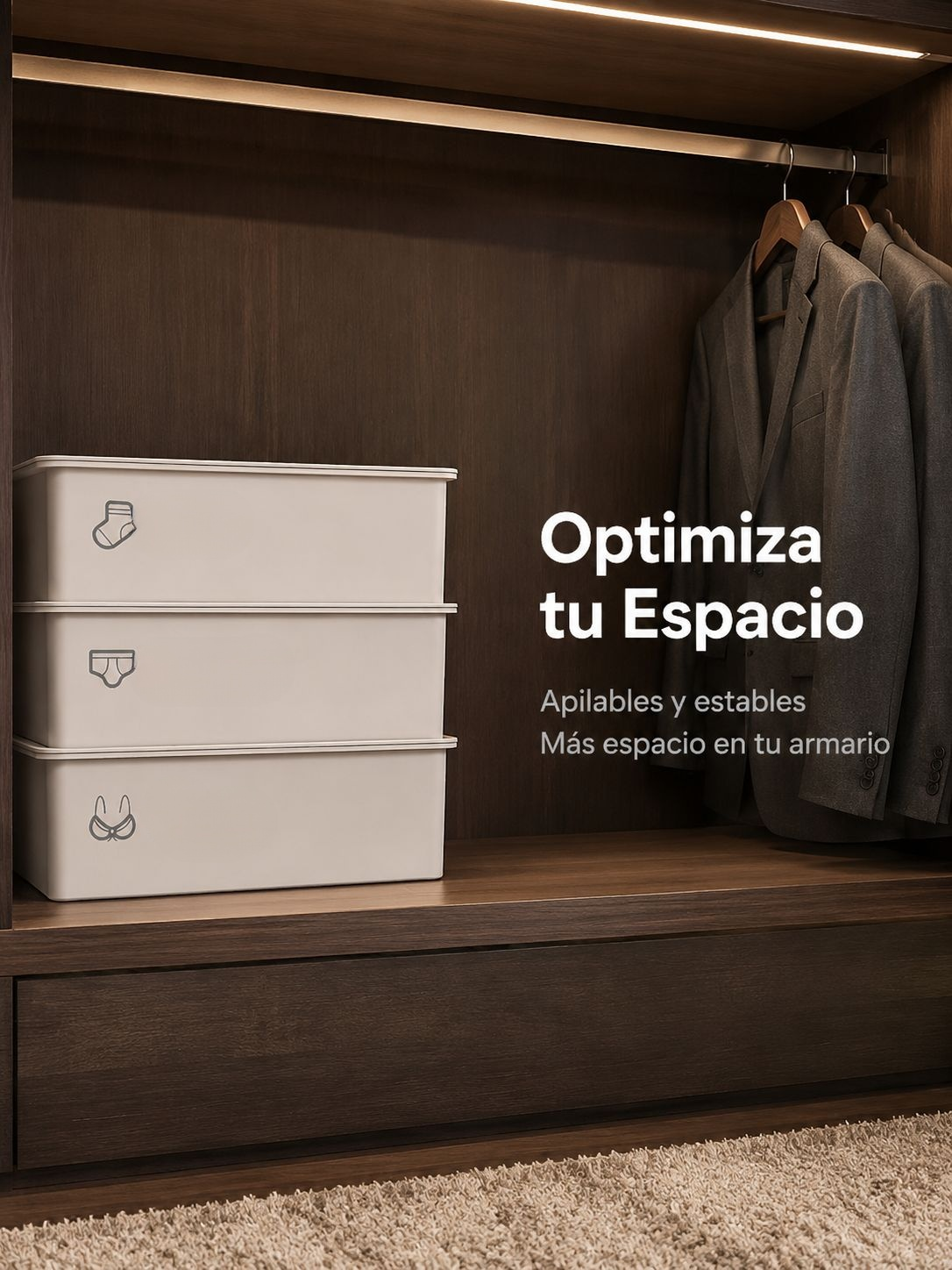 Organizador de ropa interior con divisiones