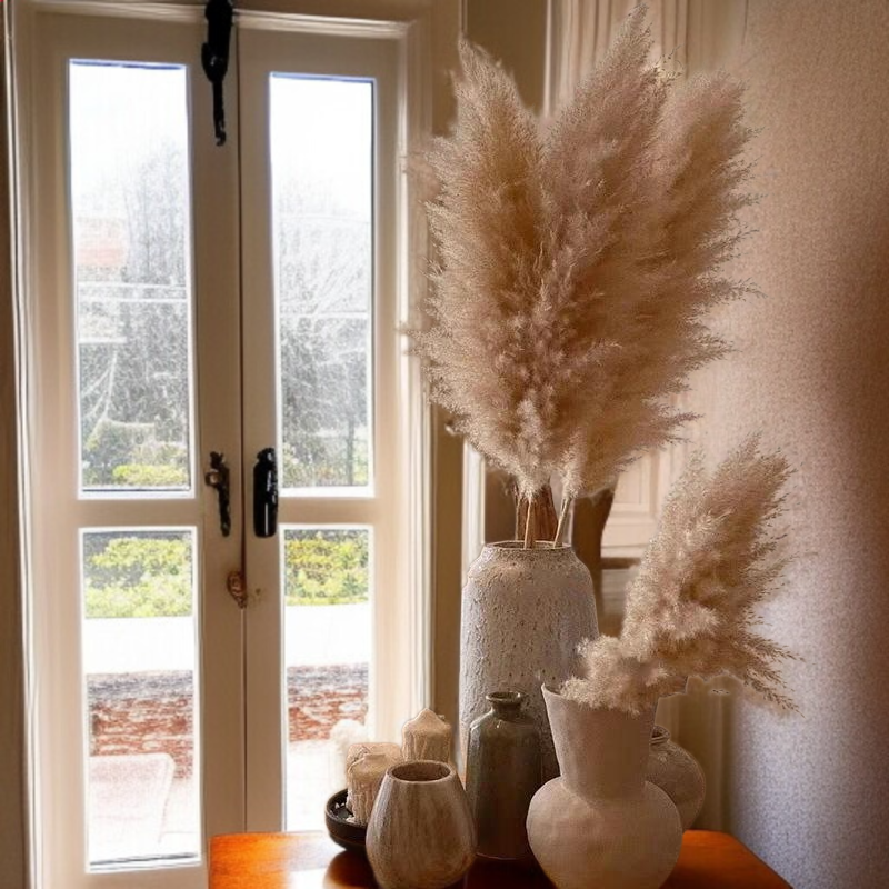 ريد زهرة حقيقية الزهور المجففة الديكور