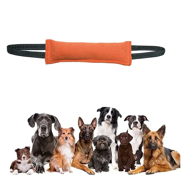 ของเล่นแบบอินเทอร์แอคทีฟสำหรับฝึกฝนระยะยาว