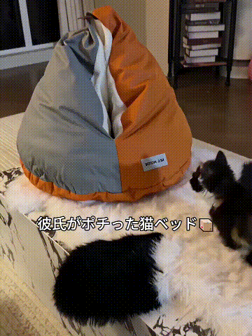 TikSave.io_7690902855791873298.gif