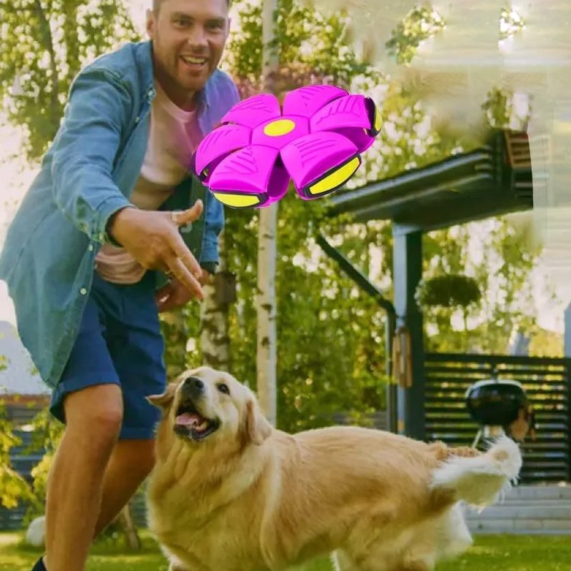 マジックドッグのおもちゃUFOボール奇妙なマジックボール