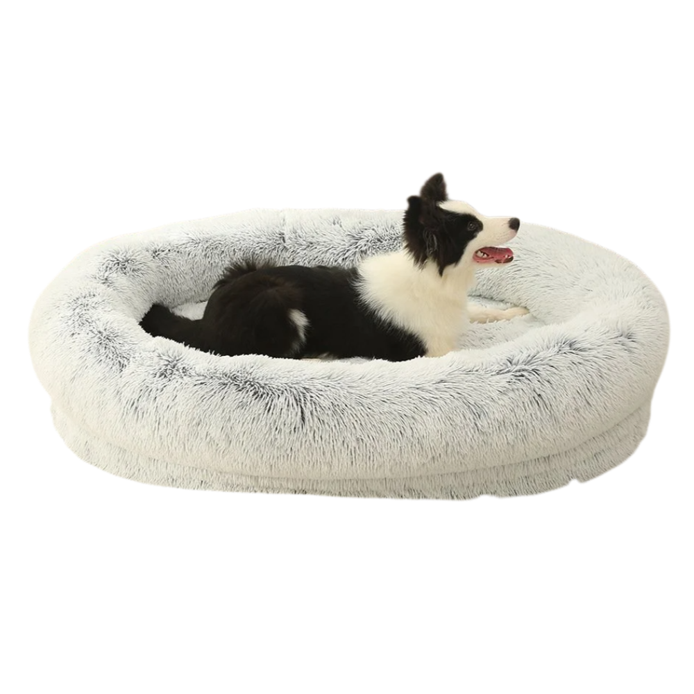 Plush, warm dog and cat bed