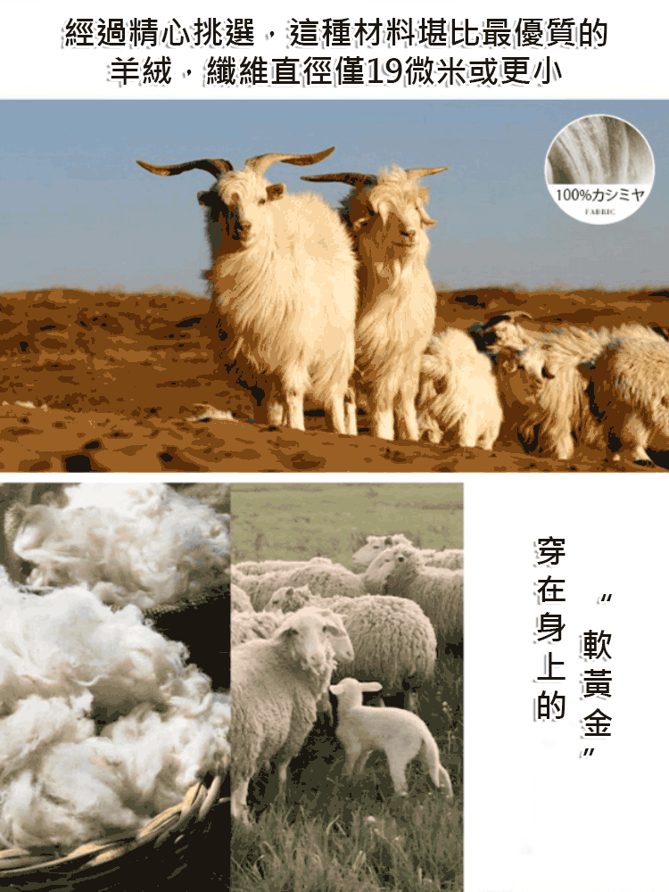 男士德絨加絨打底衫