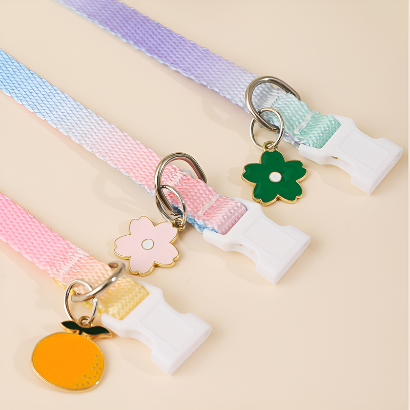 ปลอกคอพิเศษสำหรับลูกแมว