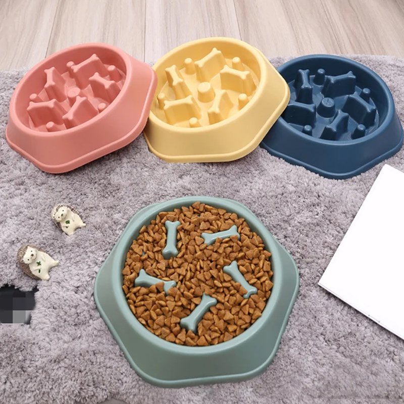 Luxury Puppy Food Bowl