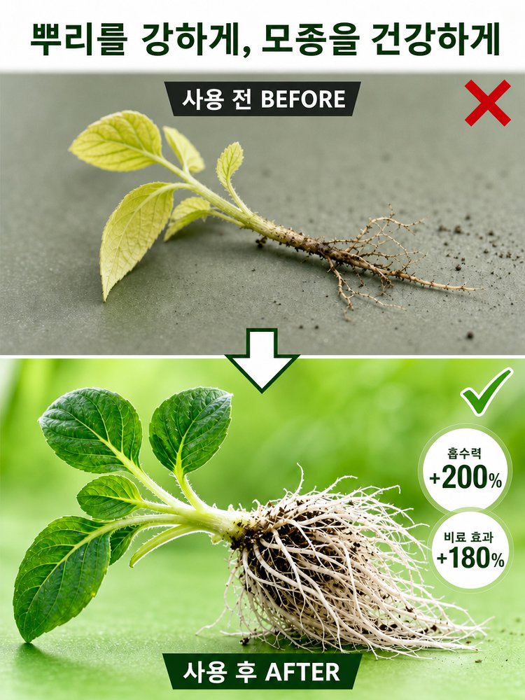 미친 생명력! 단 3일 완성 뿌리 폭발 마법 파우더