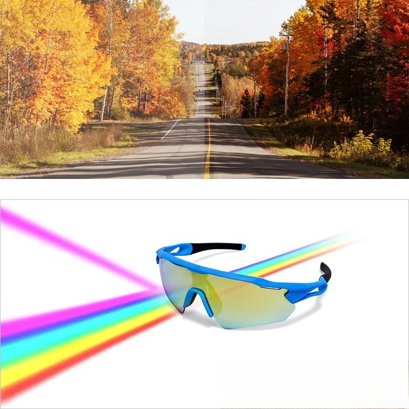 고급 야구 고글