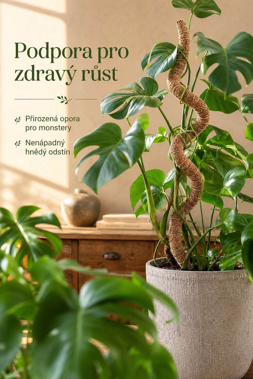Jednoduchá instalace opěrného kůlu pro monstera