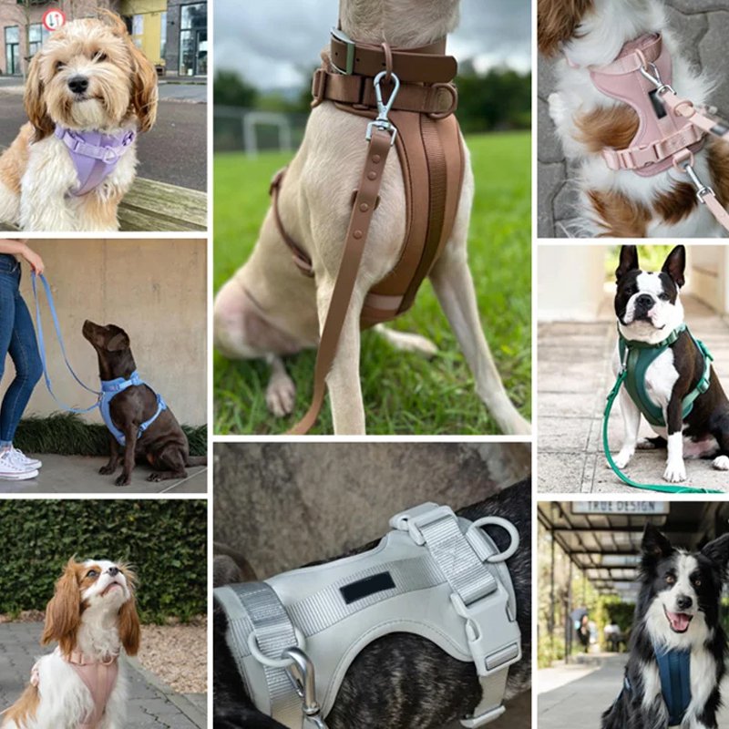 ペット犬牽引チョッキ安全ロープ