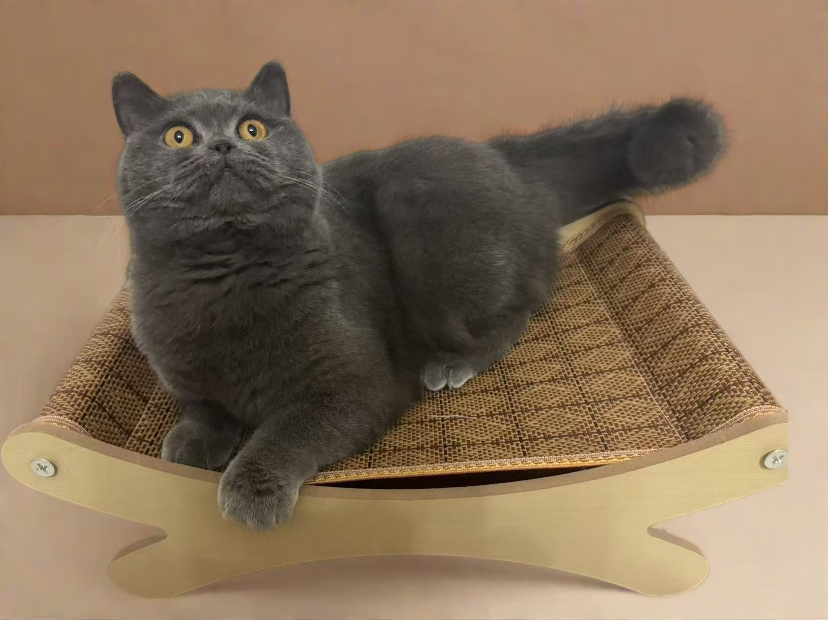Scratch-resistant Pet Sofa Bed for Cats
