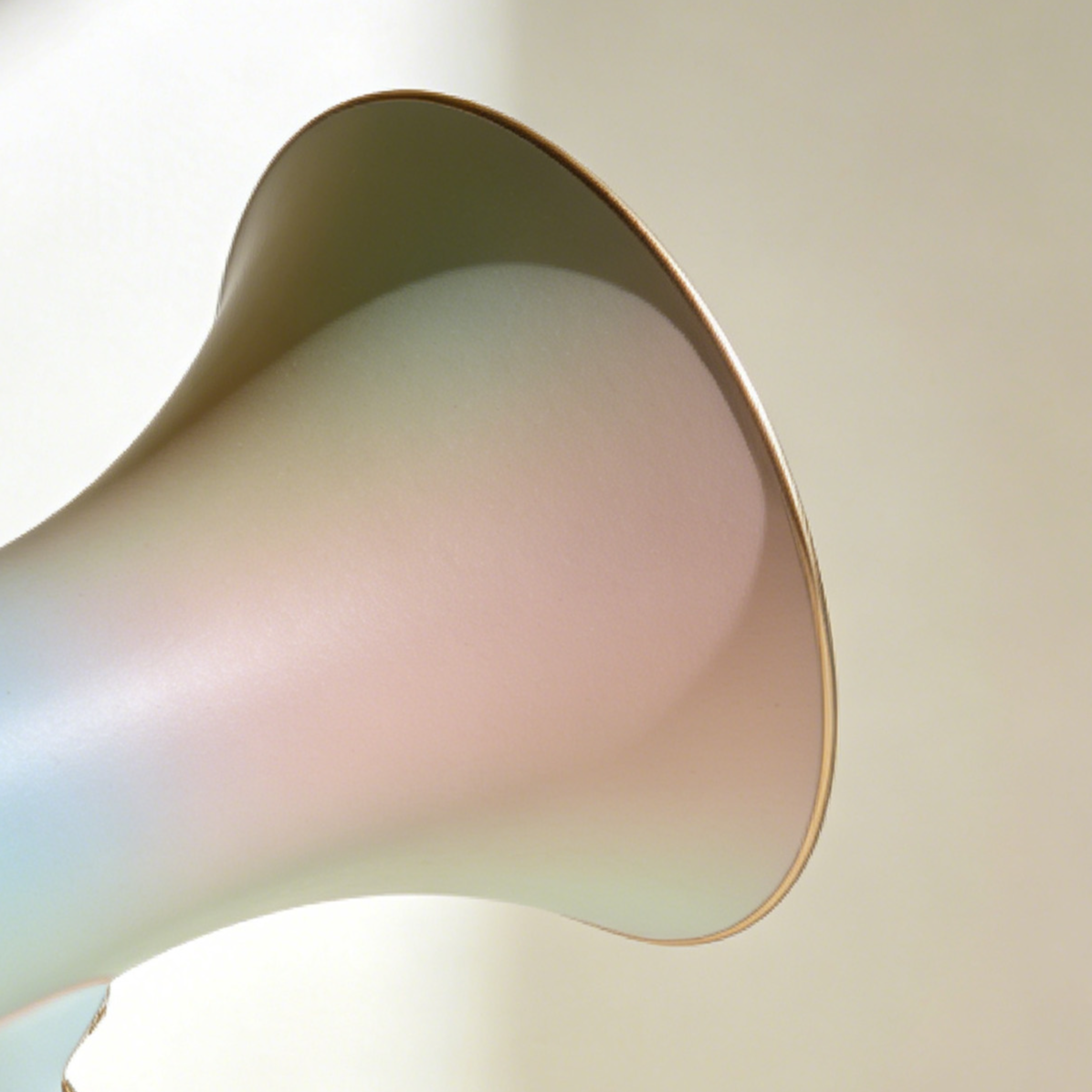 Megáfono de mano portátil con micrófono inalámbrico