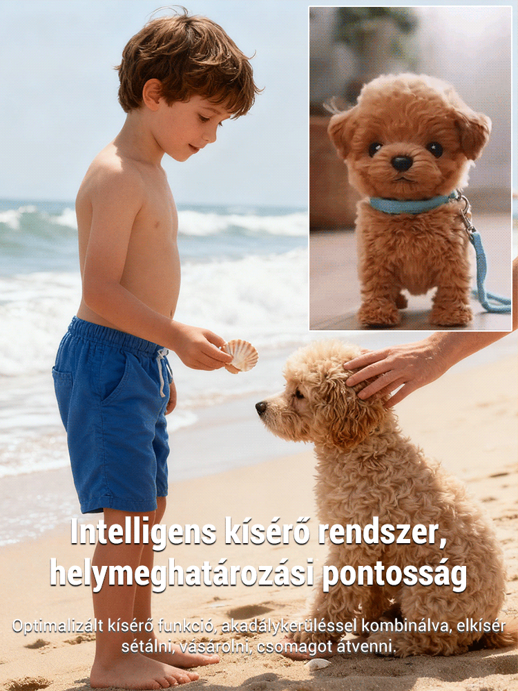 Bionikus intelligens mesterséges intelligencia társ háziállatoknak: Nincs gond a kutyagondozással! 