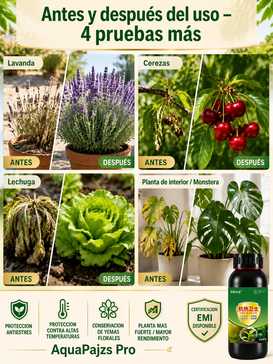 【100% Orgánico】BioRoot X™ - Solución nutritiva vegetal-Sin hormonas, sin residuos, cosecha segura