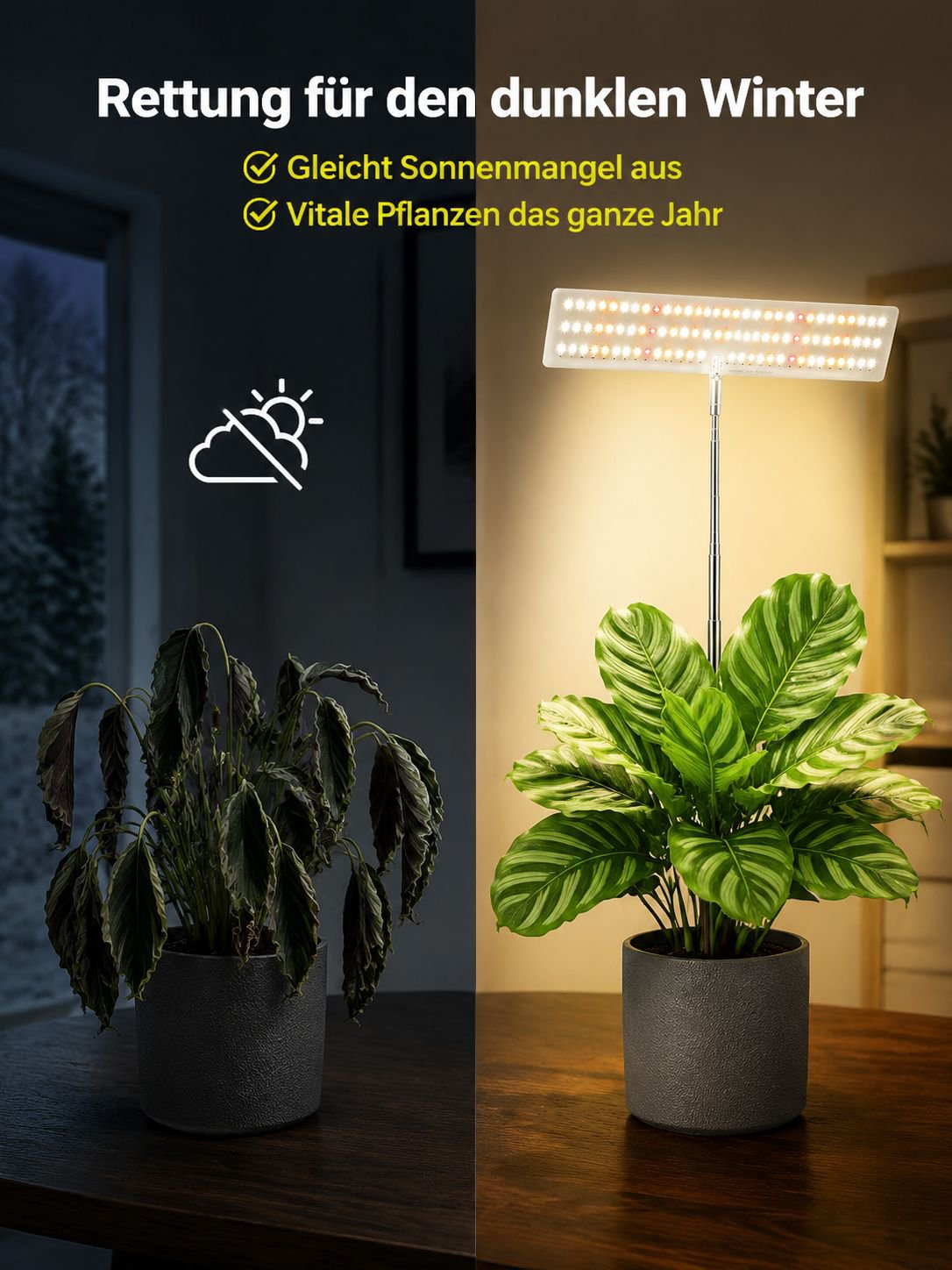 Hochwertige Pflanzenlampe für Zimmerpflanzen und Gewächshaus
