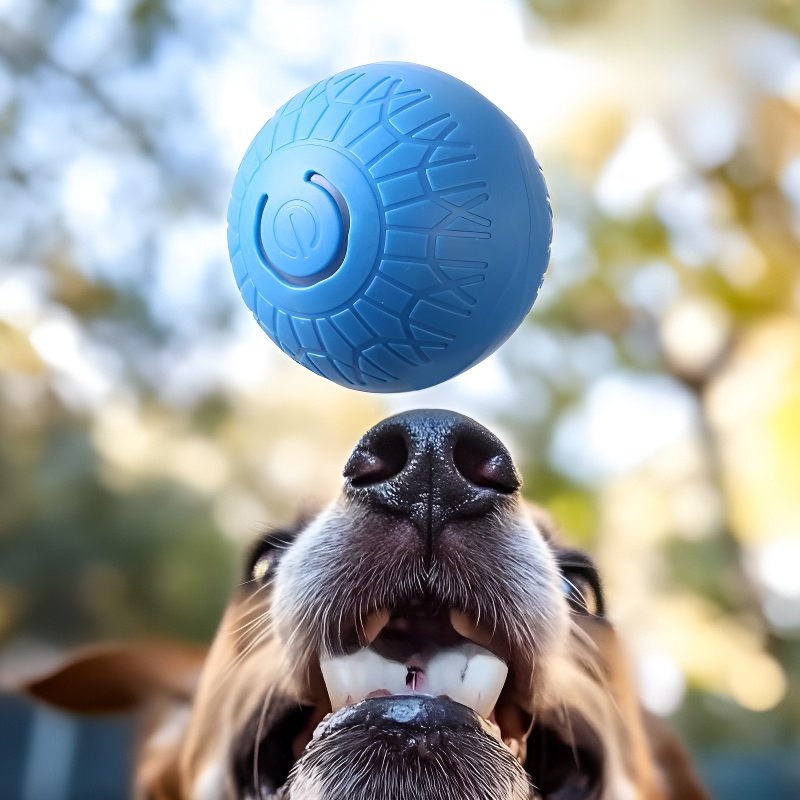 반려동물 스마트 점핑볼 구르는 공 장난감