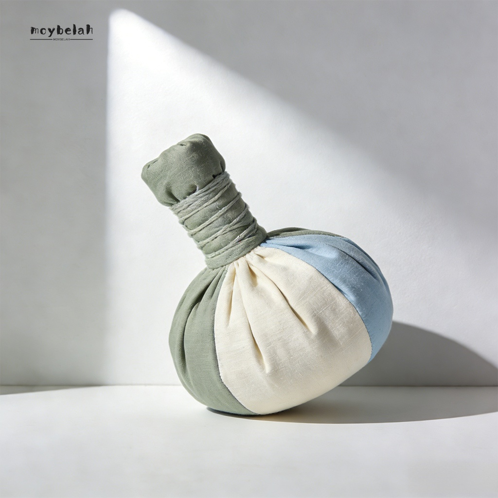 ชุดถุงถ่านไม้ไผ่ฟอกอากาศ (20 ชิ้น)