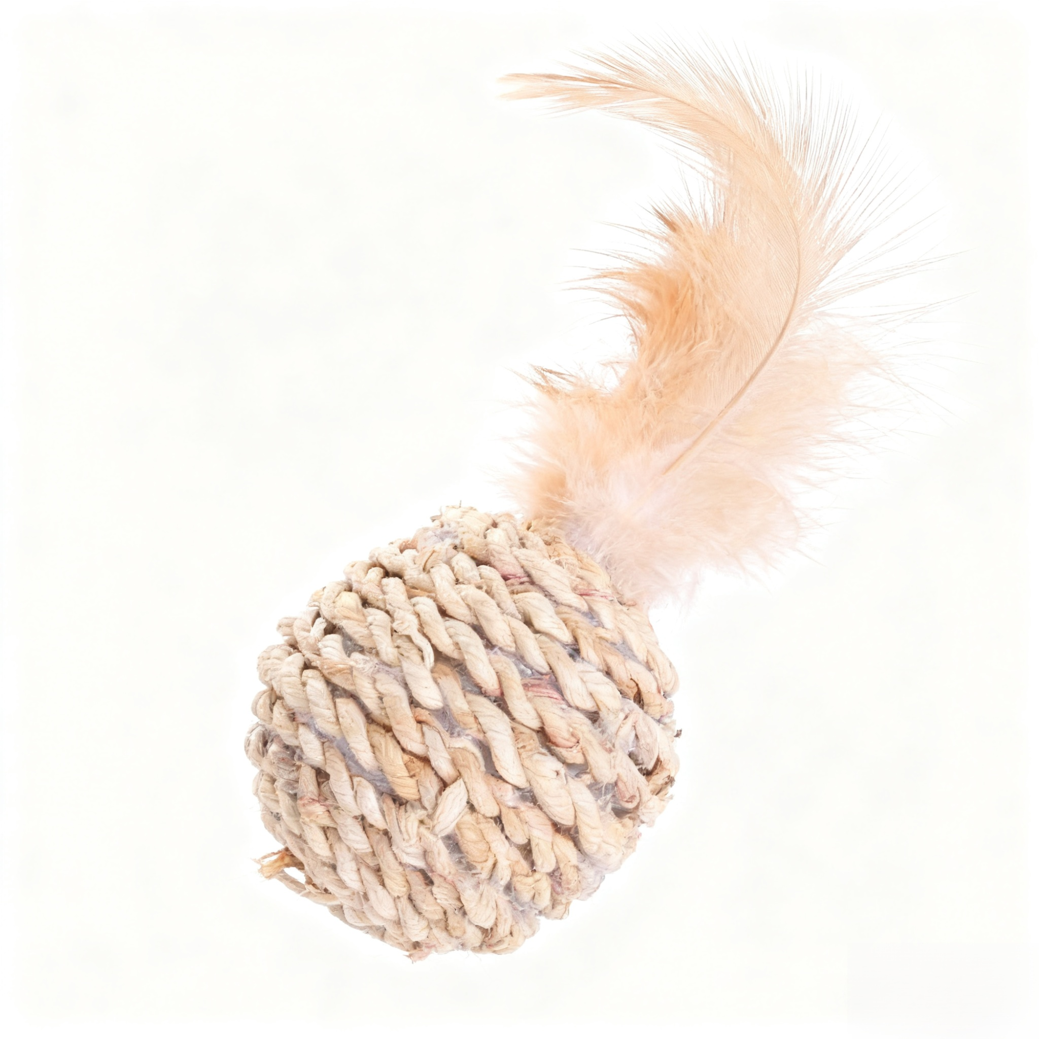 ของเล่นแมวปลอดภัยสำหรับทุกสายพันธุ์