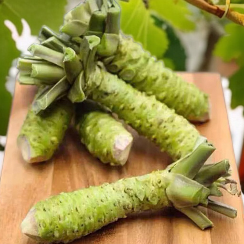 Senfsamen für den Hausgarten, das ganze Jahr verwendbar