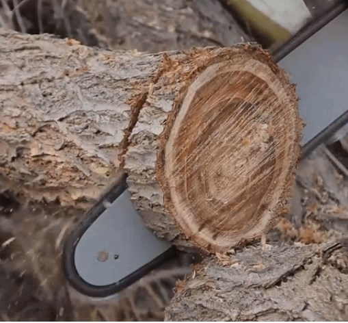 휴대용 충전 미니 목공톱 제품 이미지