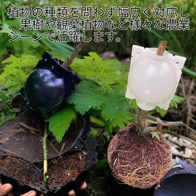 園芸植物発根装置 高圧増殖球 接ぎ木ボックス