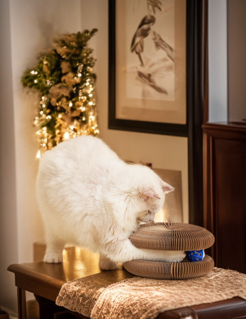 لوحة خدش القطط على شكل رأس أكورديون