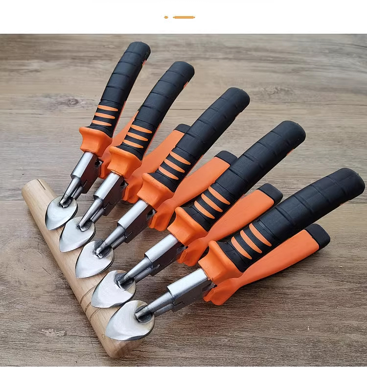 Multifunktionales Obstmesser mit Flaschenöffner