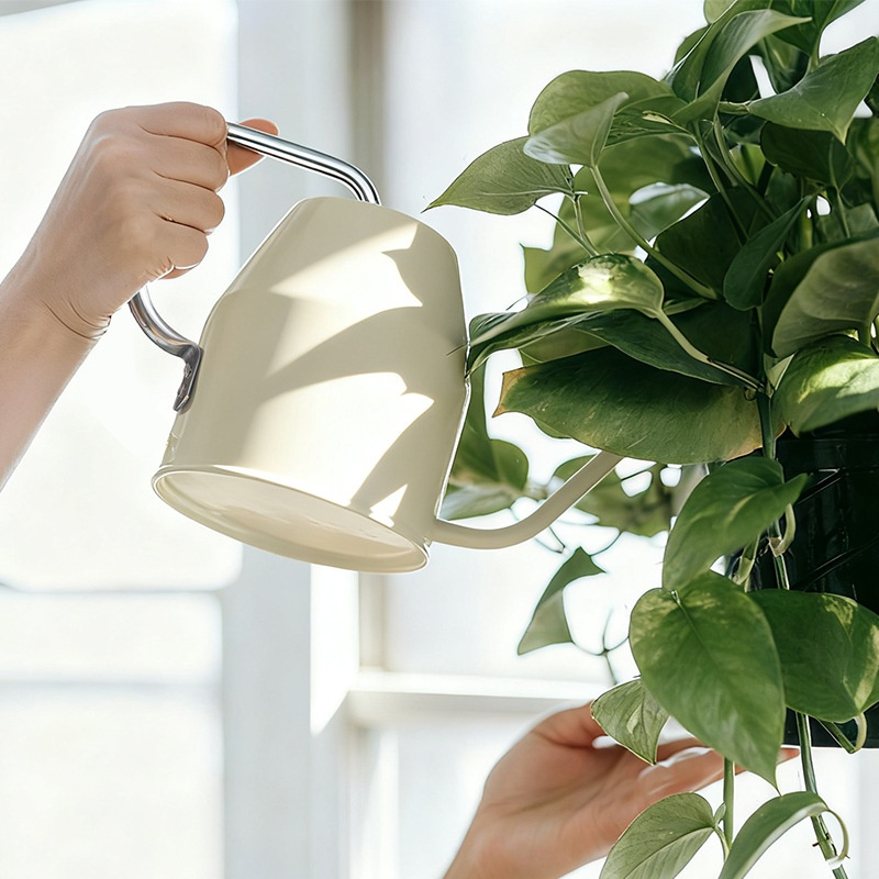 Arrosoir à bec fin WOSH, idéal pour les succulentes et les plantes en pot