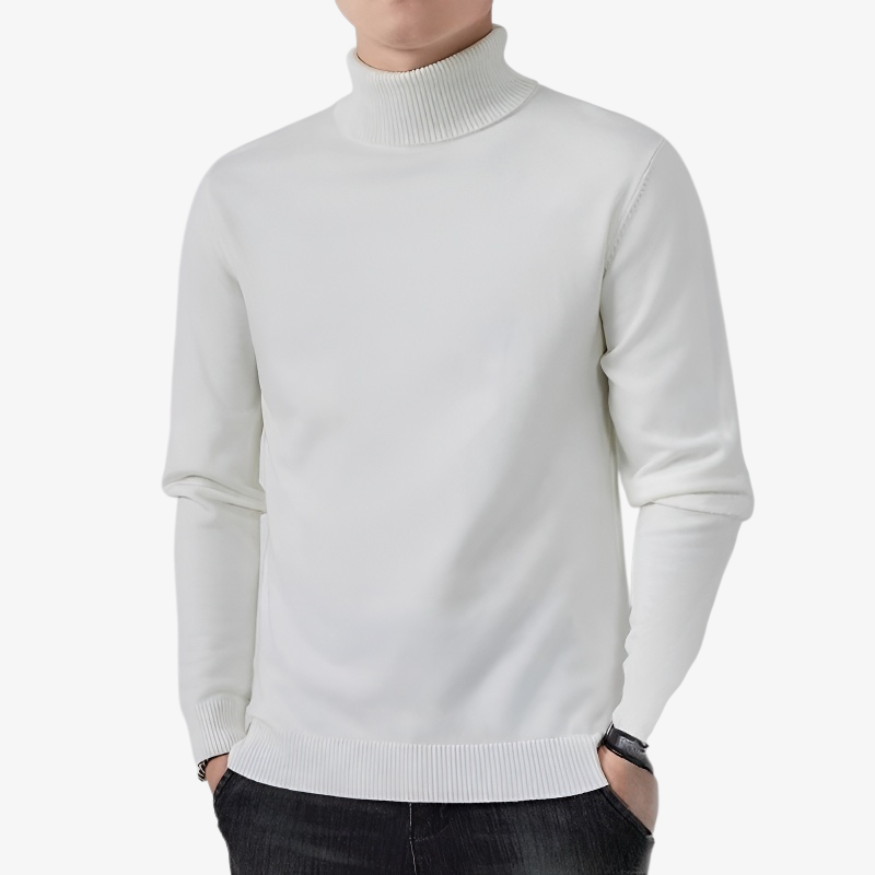남자 기모 도톰 터틀넥 니트 베이직 캐주얼 이너 니트 남자 기모 터틀넥 니트 베이직 니트