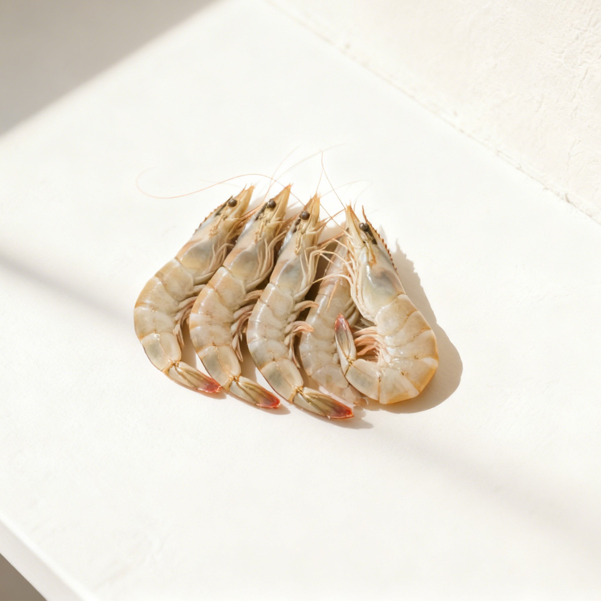 프리미엄 새우 (3박스 세트)