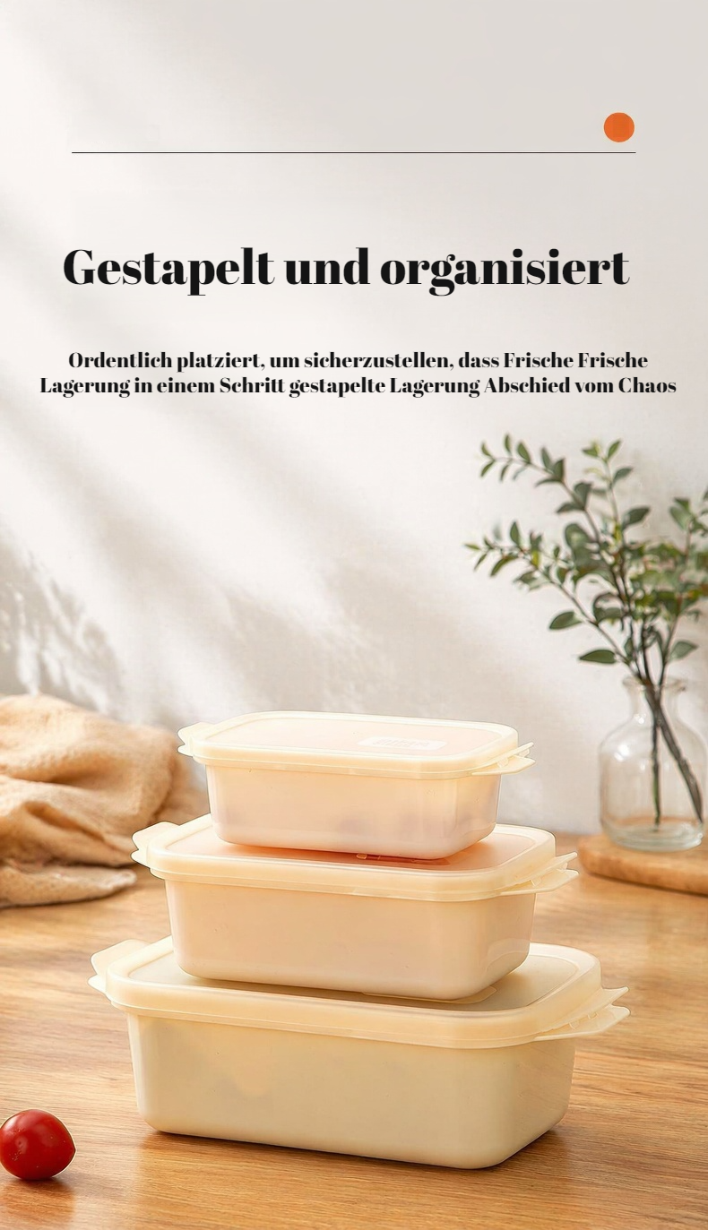 Bento Box für unterwegs, umweltfreundlich und wiederverwendbar