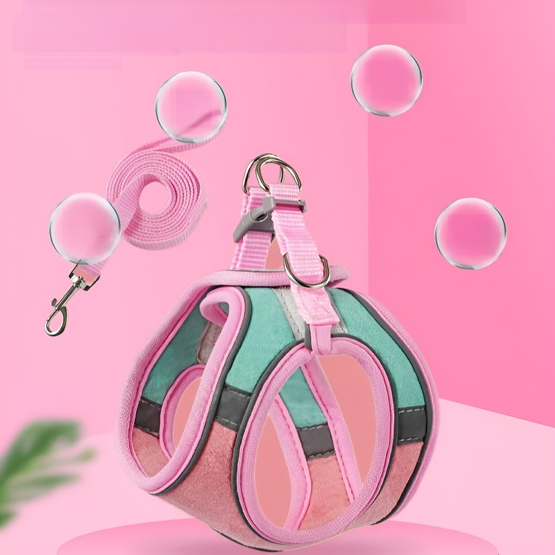 Laisse pour petits et moyens chiens