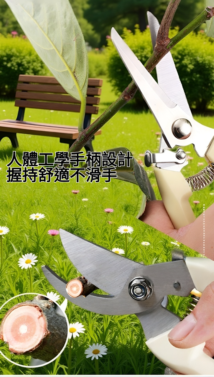 省力回彈不銹鋼鋒利剪產品展示