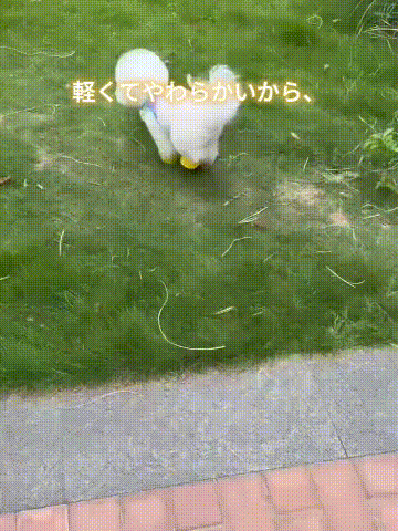 prox8y (7).gif