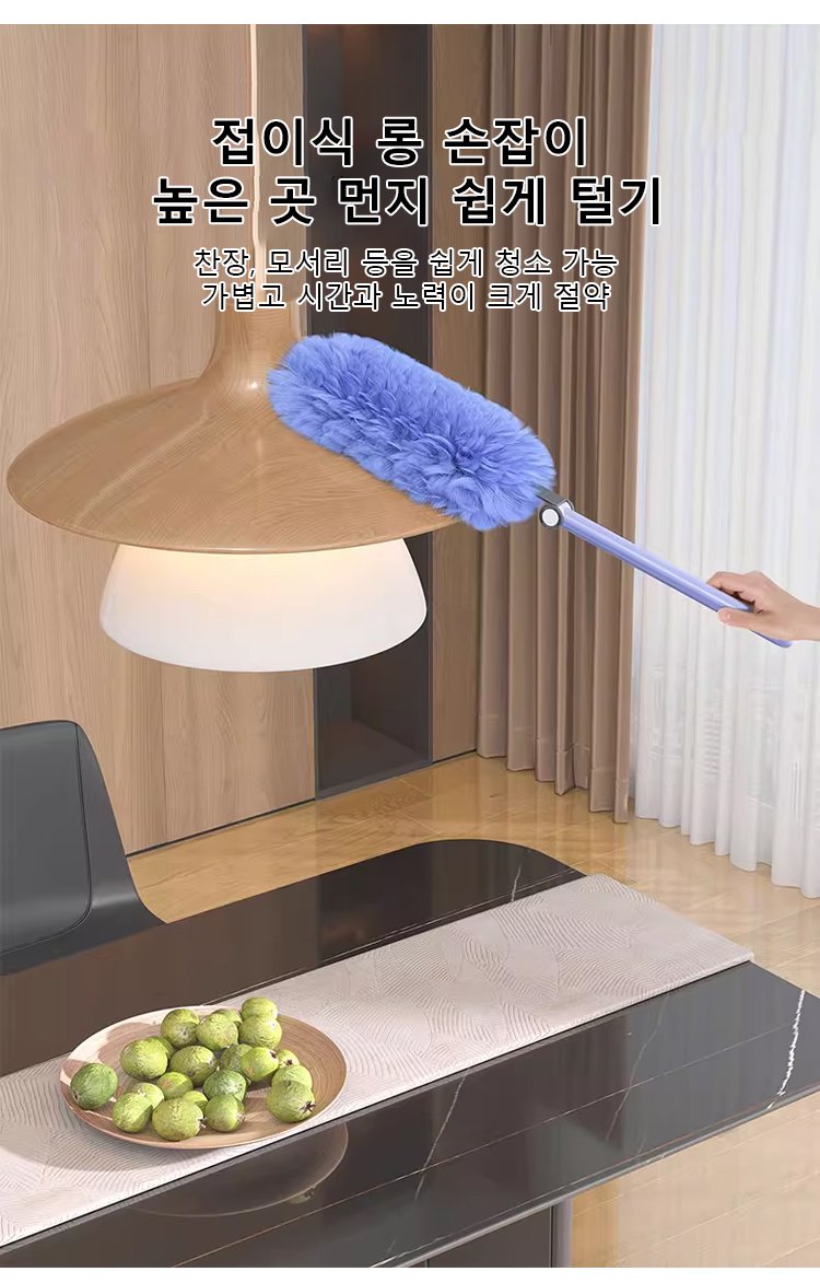 분리 및 세척 가능한 먼지떨이