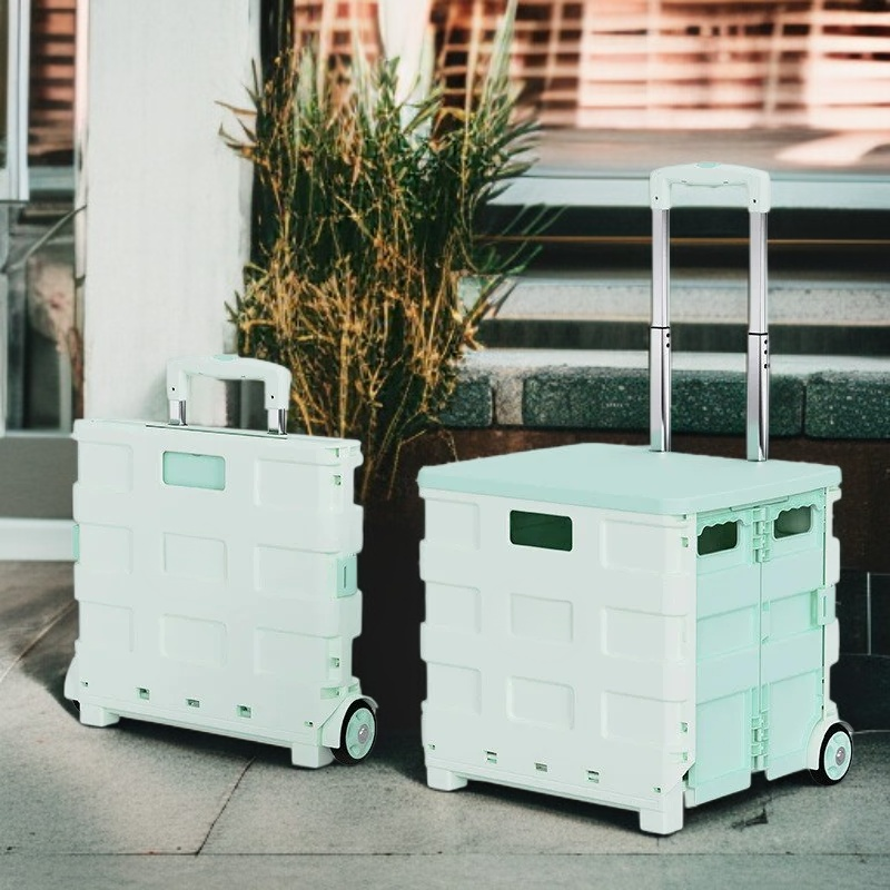 Leichter Kunststoff-Handwagen mit Ziehgriff