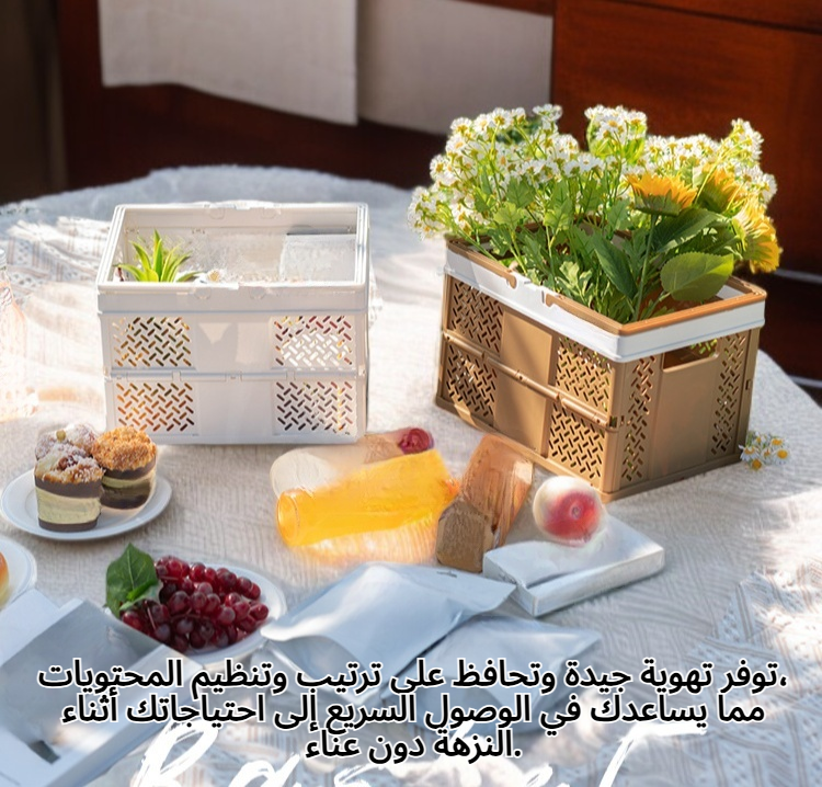 سلة تخزين بلاستيكية للنزهات بتصميم عملي