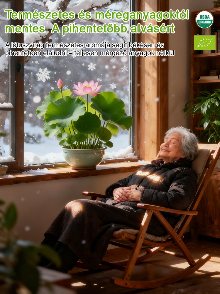 Prosperující s vodou! Přírodní čistička vzduchu! Rozkvetlý dům s voňavým hydroponickým lotusem