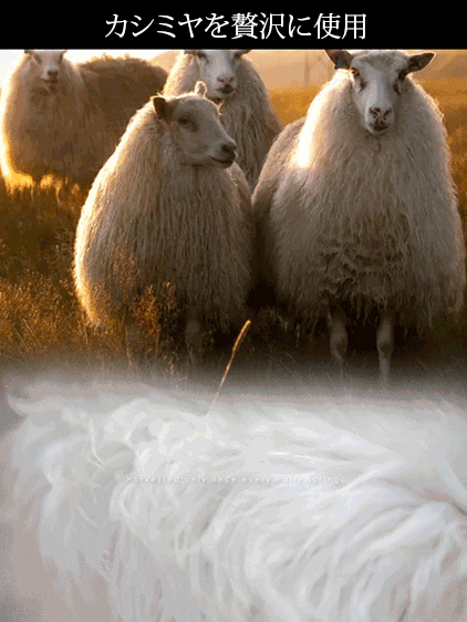 メンズレイヤード風ニット