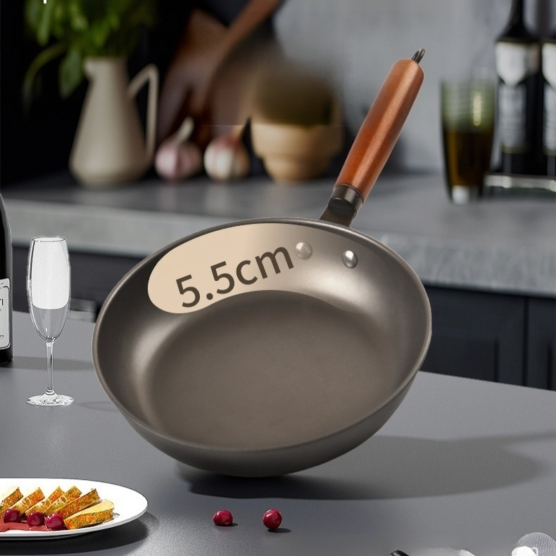 다기능 노스틱 팬