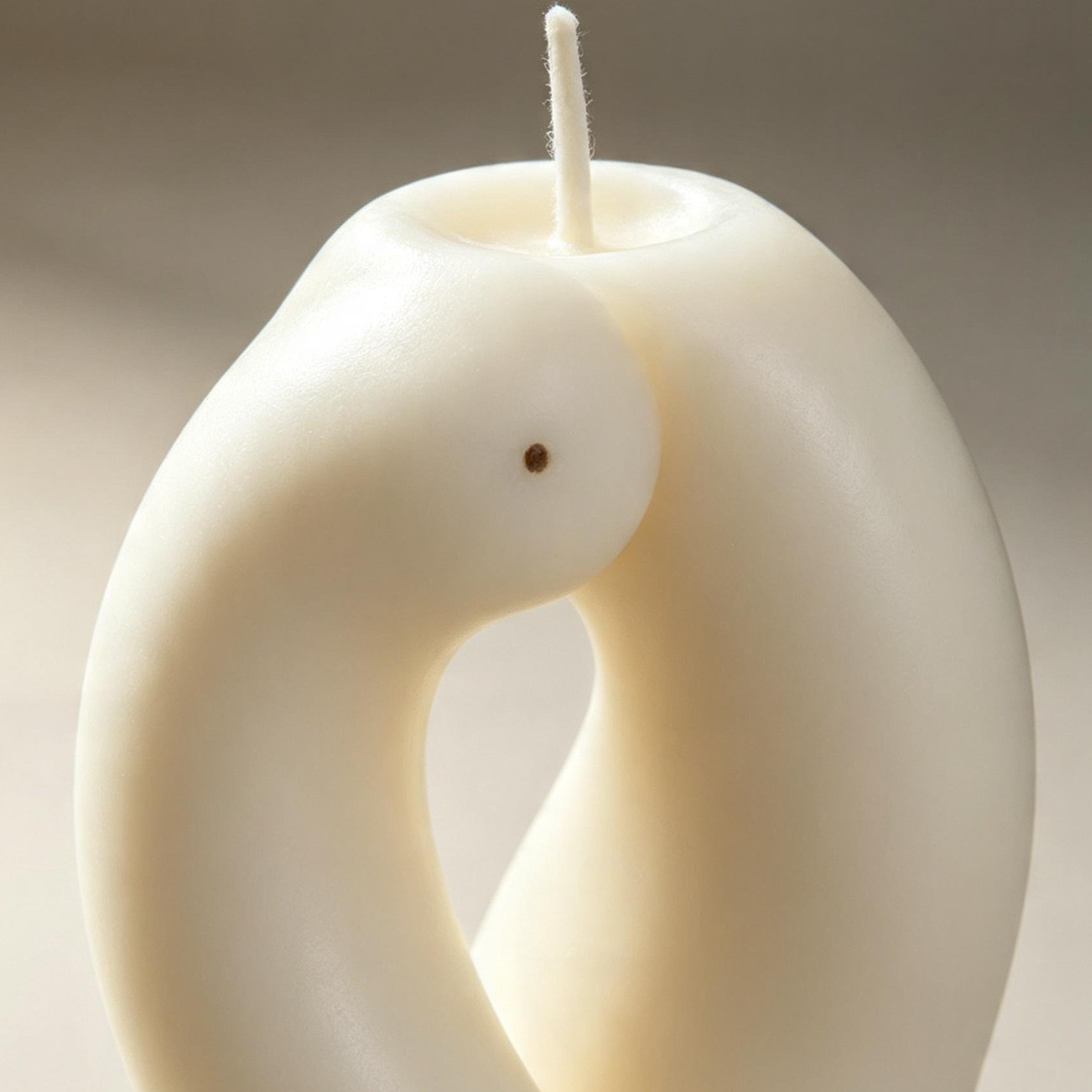 Creative Shaped Aroma Candle