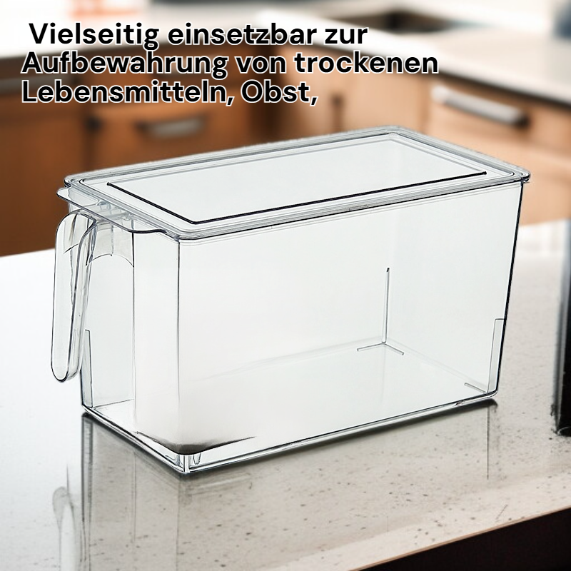 Transparente lebensmittelechte Aufbewahrungsboxen