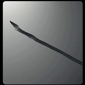 5.gif
