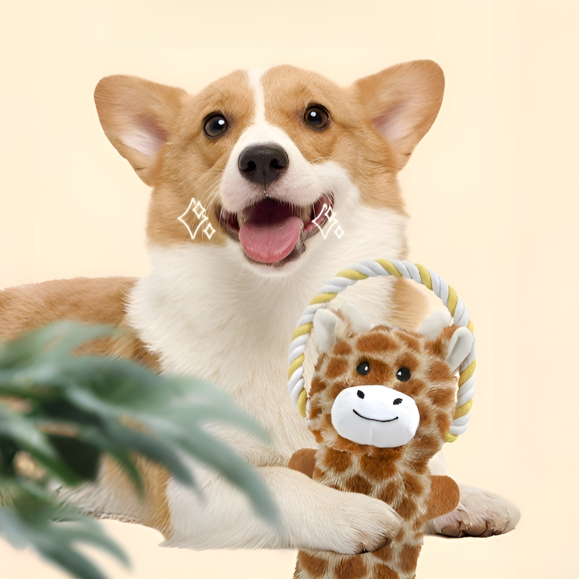 寵物磨牙潔齒玩具