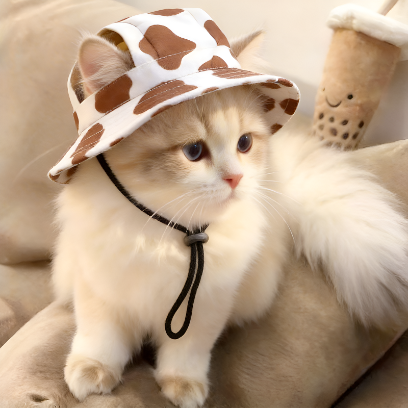 Pet Mini Denim Straw Sun Hat for Cats and Dogs