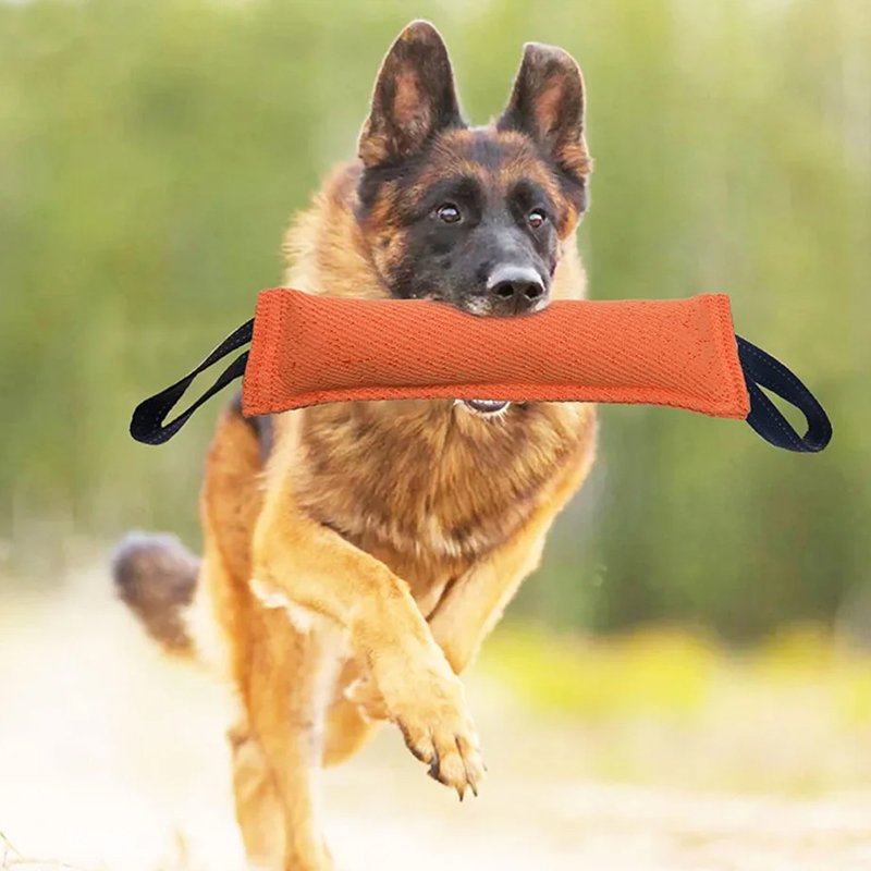 지속 훈련 애완동물 인터랙티브 장난감