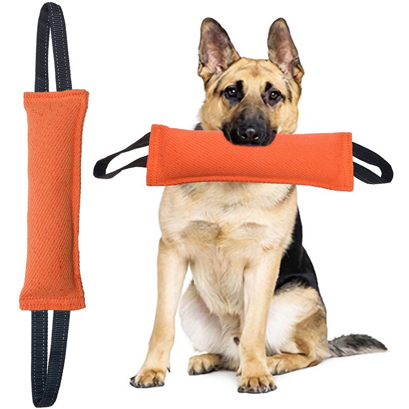 ของเล่นแบบอินเทอร์แอคทีฟสำหรับฝึกฝนระยะยาว