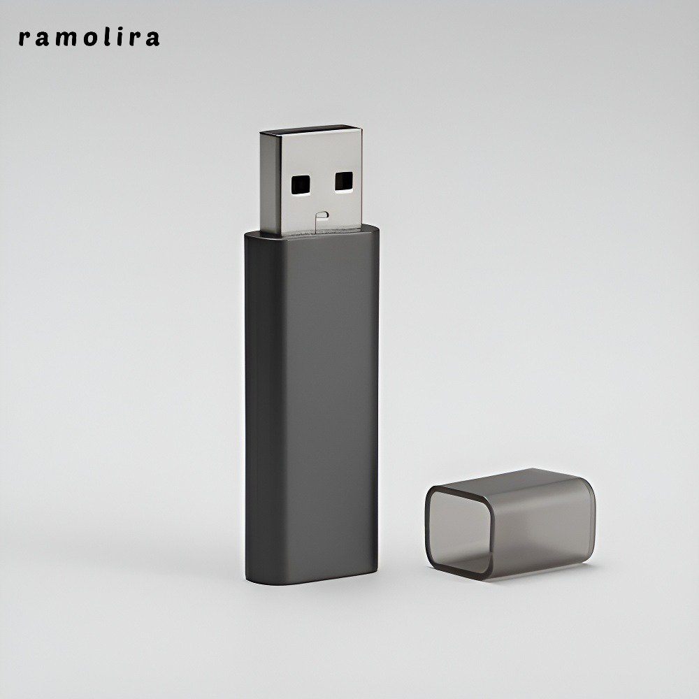 Type C 및 USB 인터페이스가 모두 있는 플래시 드라이브